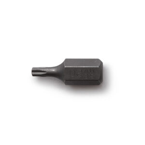 Punta Torx T20/Cod.6153 BREMEN
