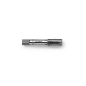 Macho Cono 2 BSP/Cod.6913 BREMEN