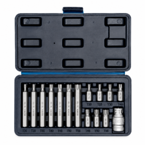 JGO.PUNTAS TORX  x 15 Pzs BREMEN® (Acero S2) Cod 8307